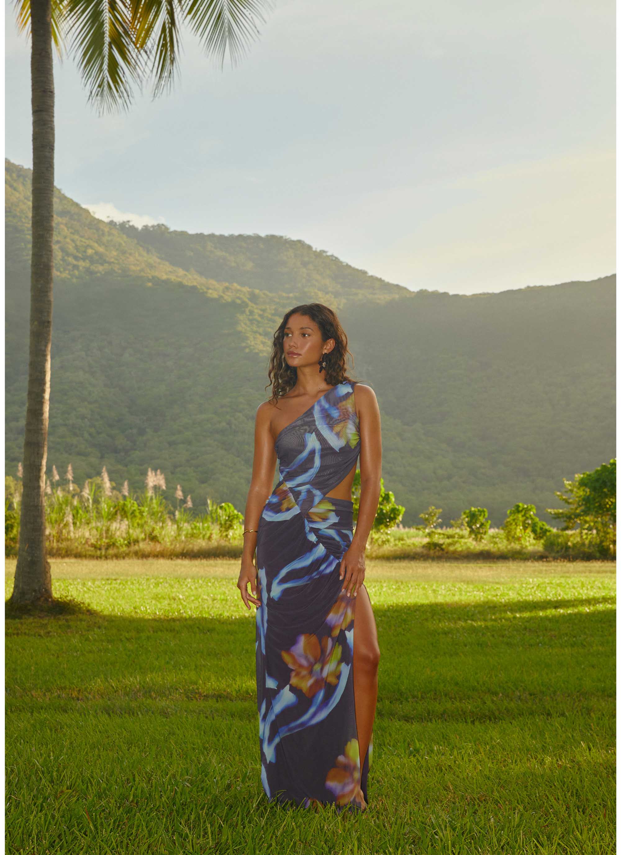 Mireya Maxi Dress
