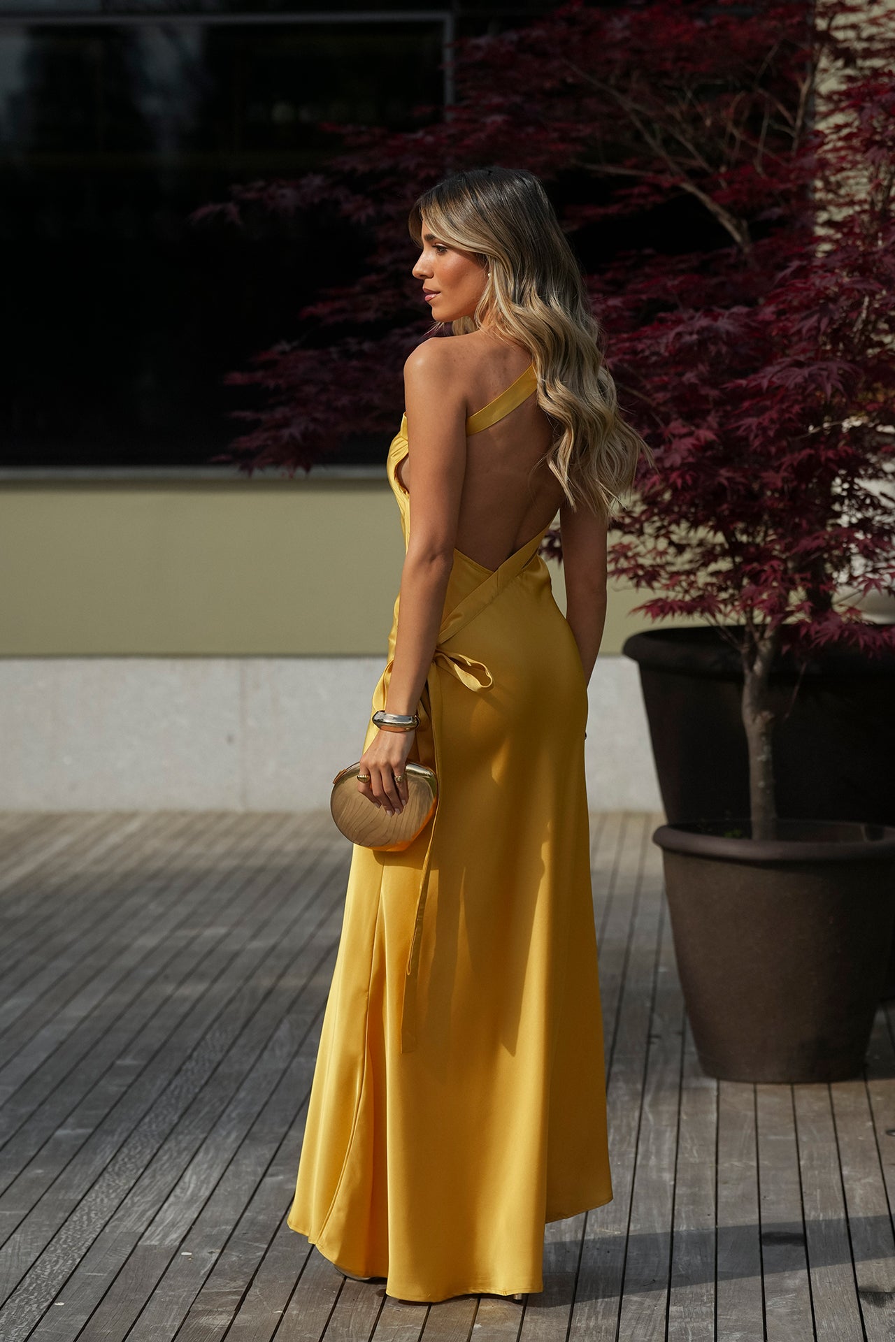 Vanya Maxi Dress